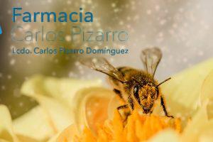 Picadura de insecto - Blog - Farmacia Pizarro